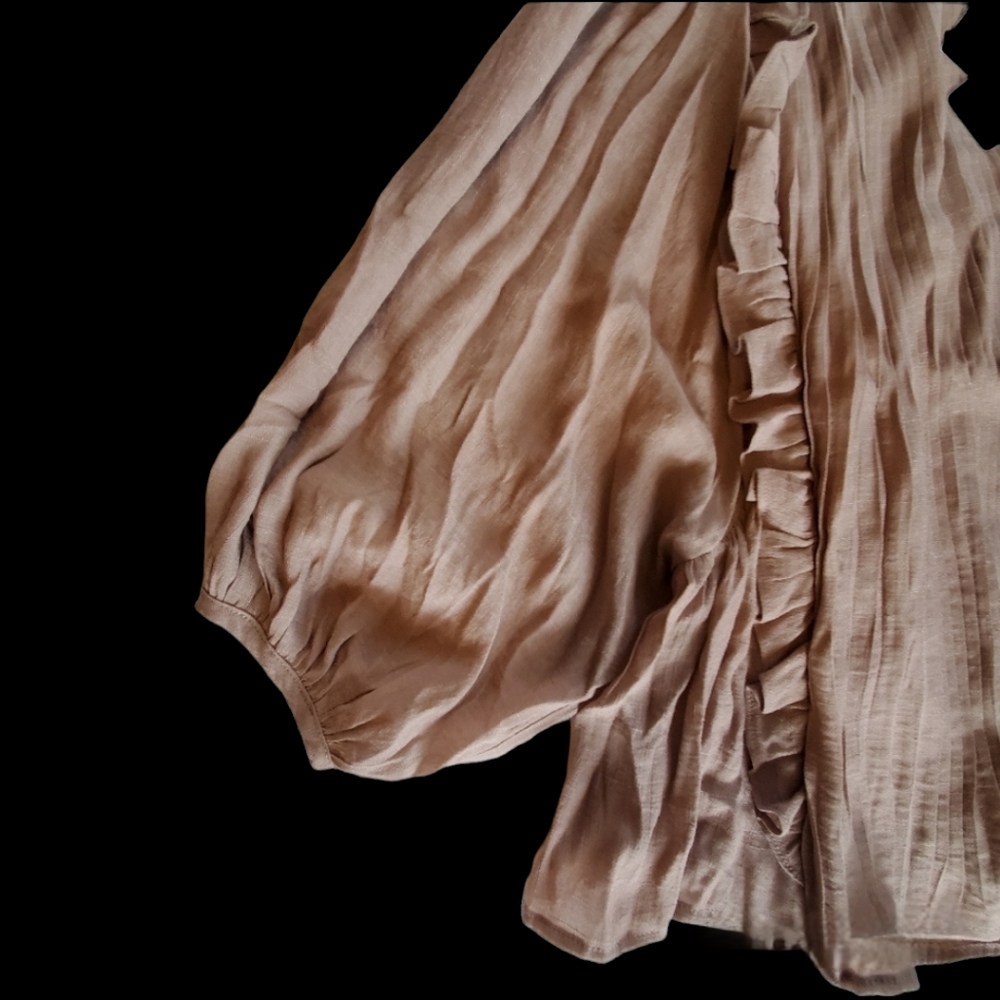 Pleated Ruffled Blouse - Picture 2 of 8